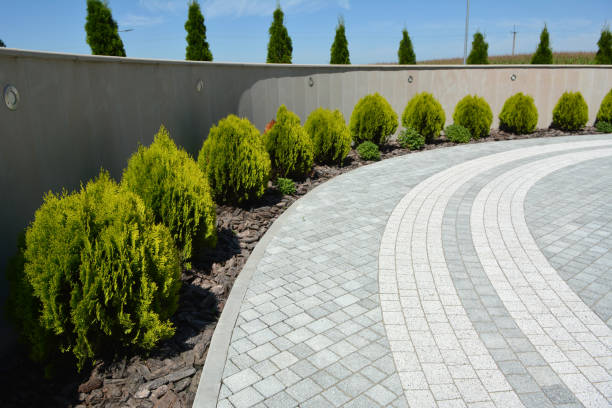 Driveway Repair Near Me in Hamilton, MT